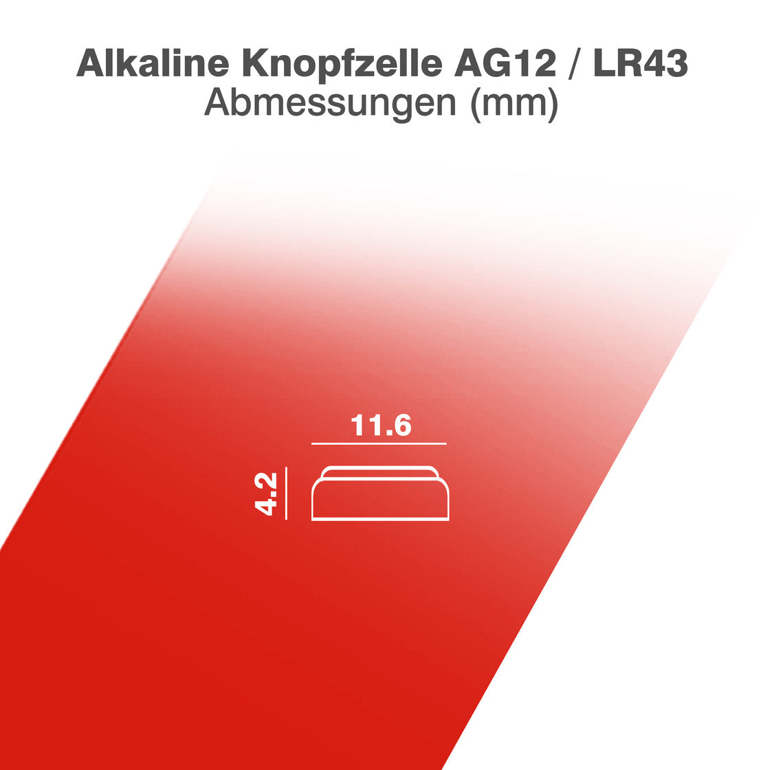 CAMELION Alkaline AG13 / LR44 / 357 / BP2