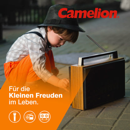 CAMELION NI-MH HR20 / D / 2500mAh / 1,2V / BP2